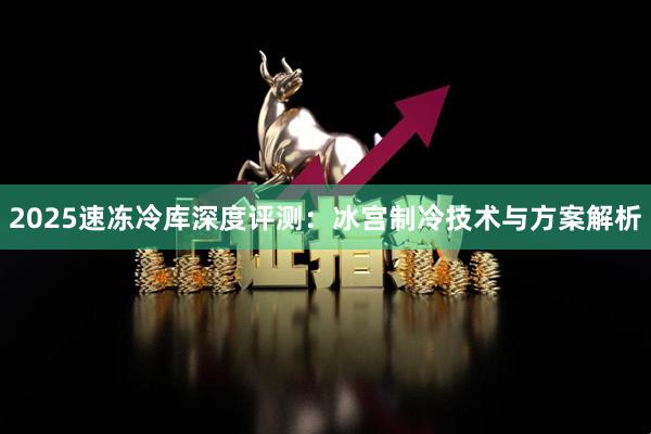 2025速冻冷库深度评测：冰宫制冷技术与方案解析