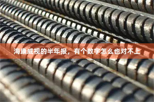 海康威视的半年报，有个数字怎么也对不上